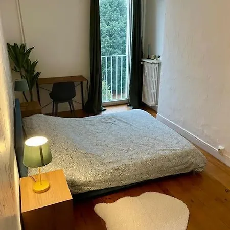 Apartment Cosy - Centre Fauriel - 6 Pers Saint-Etienne (Loire)