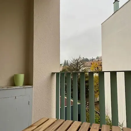 Apartment Cosy - Centre Fauriel - 6 Pers